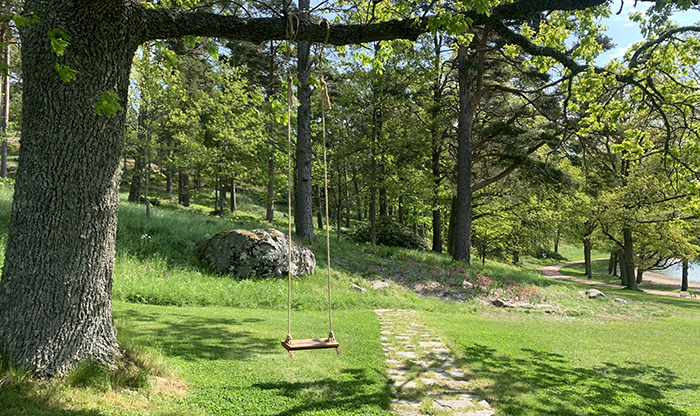 Puuhun kiinnitetty keinu vehreässä maisemassa.