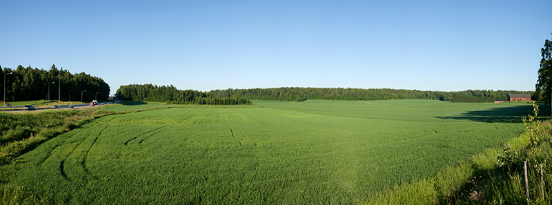 Autotie ja vihreä peltomaisema