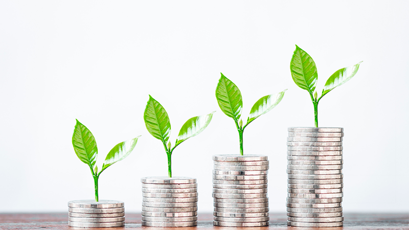 Vihreitä taimia kolikkopinojen päällä