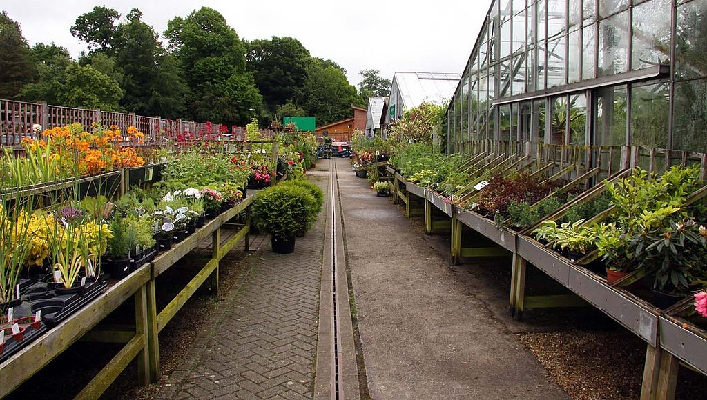 Kuvituskuva jostain puutarhamyymälästä. Kuvassa paljon erilaisia kasveja.