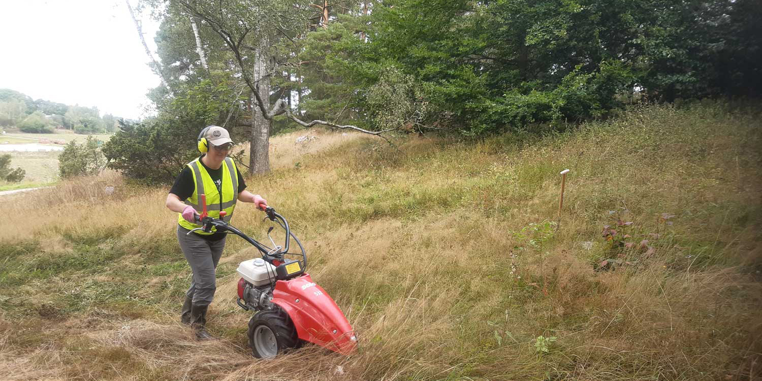 Niittoa niittokoneella.